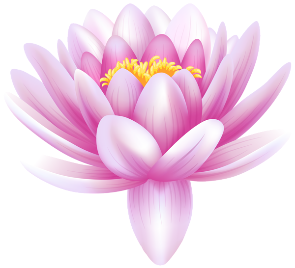 This png image - Water Lily Transparent PNG Clip Art Image, is available for free download