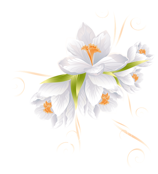 20+ Transparent Background Flower Png Black And White Images