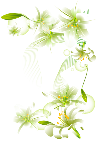 تهنئة بالالفية الثانية للاخت القديرة / باسند White_Flowers_Element_Free_Transparent_Clipart