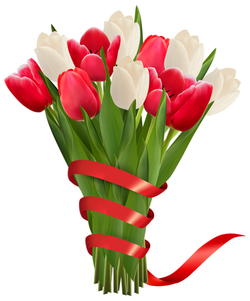This png image - White and Red Tulips with Ribbon PNG Clipart Image, is available for free download