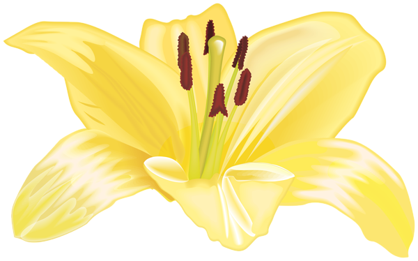 This png image - Yellow Flower Large PNG Image, is available for free download