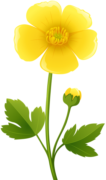 Yellow Flower Transparent PNG Clip Art Image | Gallery ...