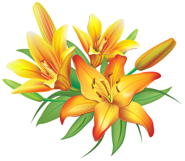 lily flower clip art free - photo #15