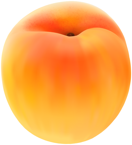 This png image - Apricot Free PNG Clip Art Image, is available for free download