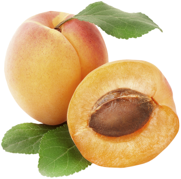 This png image - Apricot PNG Clipart Picture, is available for free download
