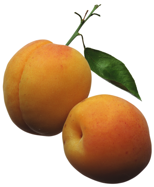 This png image - Apricots PNG Clipart Picture, is available for free download