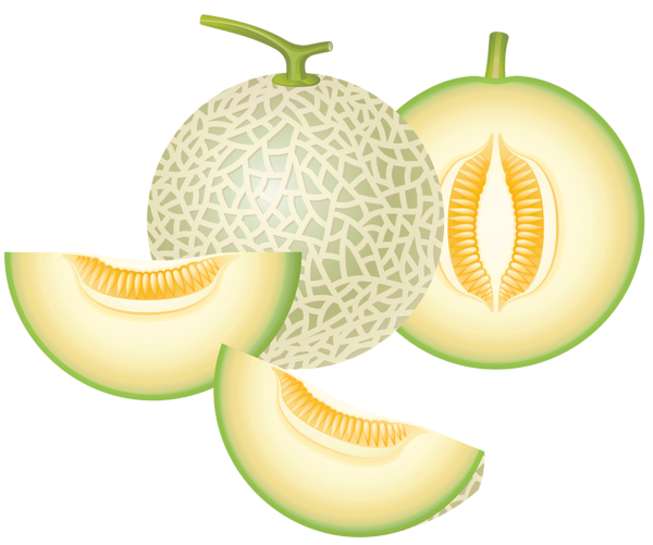 This png image - Cantaloupe Melon PNG Clipart, is available for free download