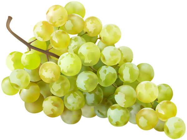This png image - Grape White Transparent Clip Art Image, is available for free download