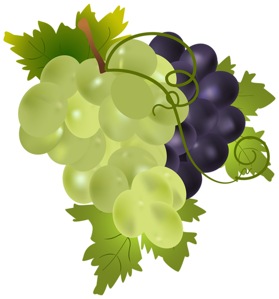 This png image - Grapes PNG Clip Art Image, is available for free download