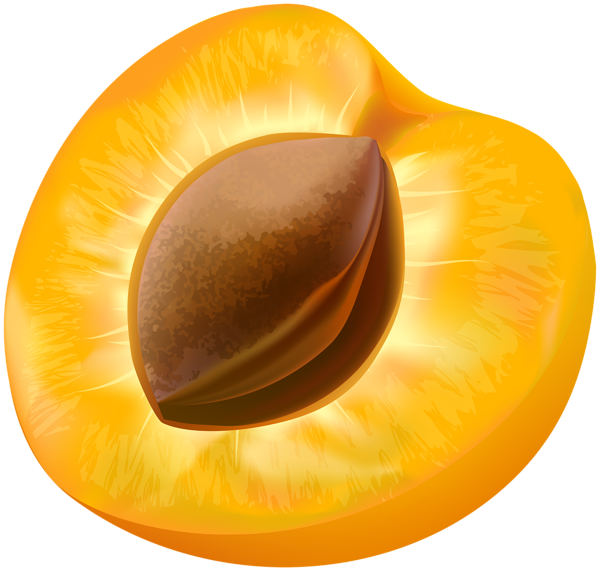 This png image - Half Apricot Transparent Image, is available for free download