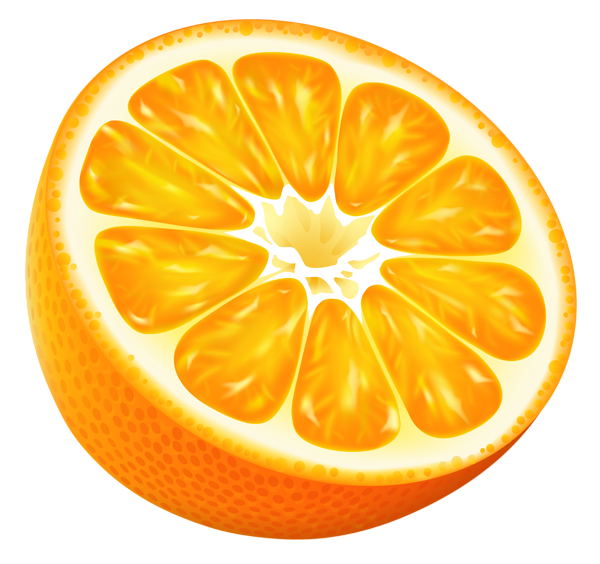 This png image - Half Orange PNG Vector Clipart Image, is available for free download