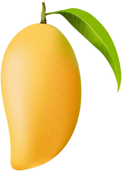 mango png clip art image gallery yopriceville high christmas red bird