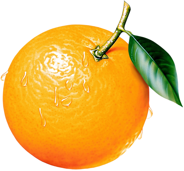 This png image - Orange Clipart Picture, is available for free download