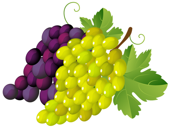 This png image - Painted Grapes PNG Clipart, is available for free download
