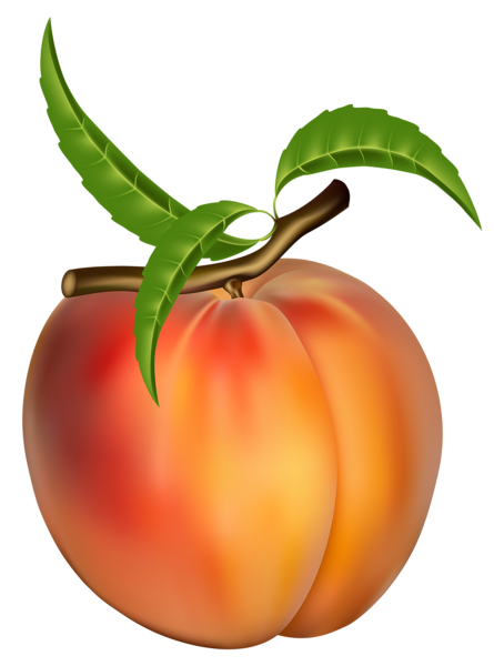 peach transparent png clipart picture png m 1395930717 peach transparent png clipart picture png m 1395930717