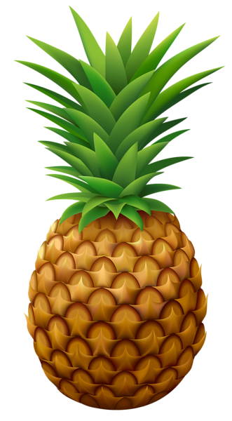 This png image - Pineapple PNG Vector Clipart Image, is available for free download