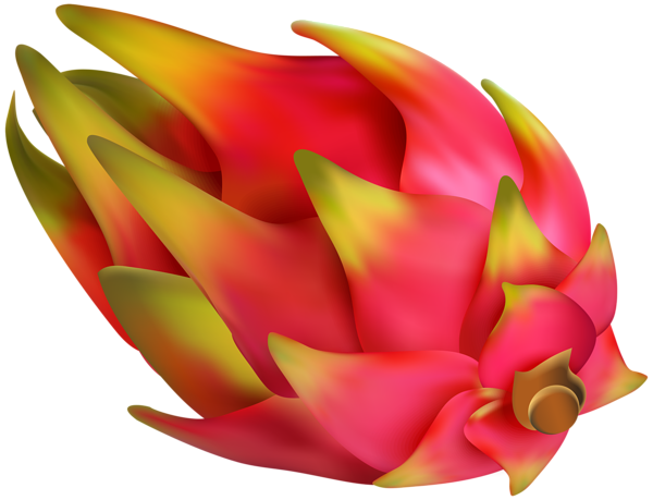 This png image - Pitaya PNG Clip Art, is available for free download