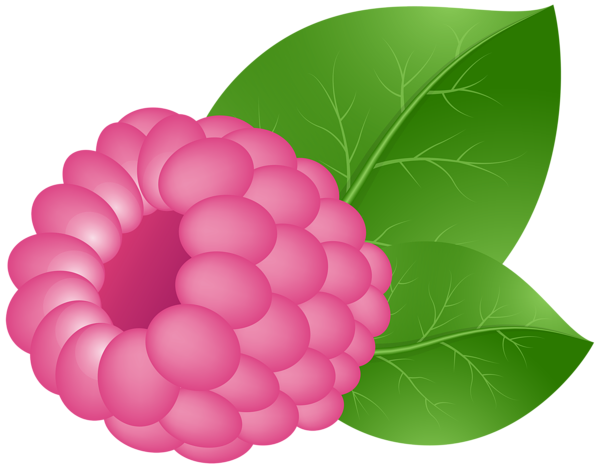 This png image - Raspberry Transparent PNG Clip Art Image, is available for free download