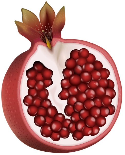 This png image - Red Pomegranate PNG Clip Art Image, is available for free download