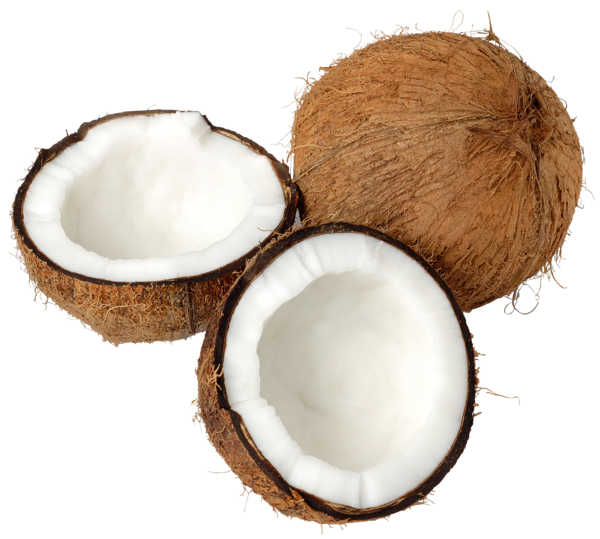 Transparent Coconut PNG Clipart | High-Quality Images and Transparent