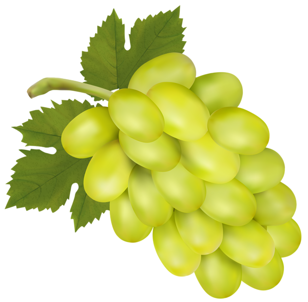 This png image - White Grape PNG Clip Art Image, is available for free download