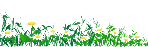 This png image - Daisies and Grass PNG Clipart Picture, is available for free download