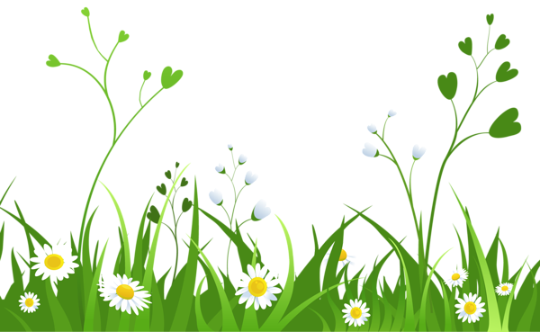 This png image - Daisies with Grass PNG Clipart Picture, is available for free download