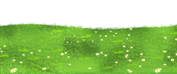 This png image - Grass Ground with Daisies PNG Clipart, is available for free download