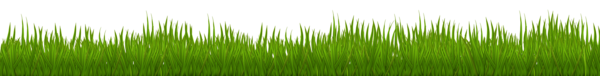 This png image - Grass PNG Clip Art Image, is available for free download