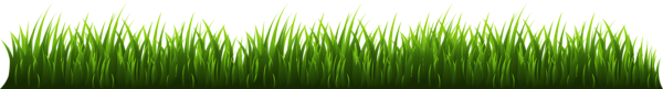 This png image - Grass PNG Clipart Image, is available for free download