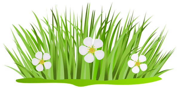 This png image - Grass Patch with Flowers PNG Clip Art Image, is available for free download