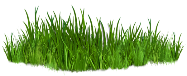This png image - Grass Path Ground PNG Picture, is available for free download