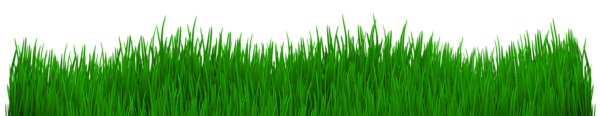 This png image - Grass Transparent Clip Art Image, is available for free download