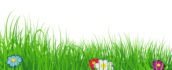 This png image - Grass Transparent Clipart, is available for free download