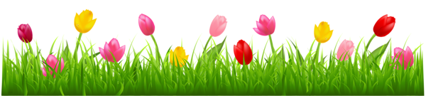 This png image - Grass with Colorful Tulips PNG Clipart, is available for free download