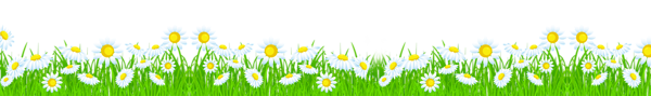 This png image - Grass with Daisies PNG Clipart Picture, is available for free download