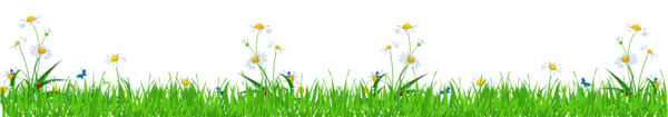 This png image - Grass with Daisies and Ladybugs PNG Clipart Picture, is available for free download