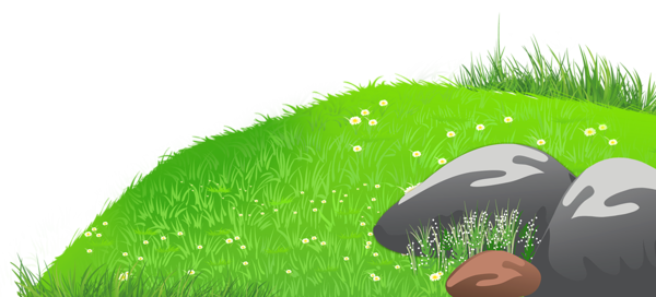 This png image - Grass with Stones and Daisies PNG Clipart Picture, is available for free download