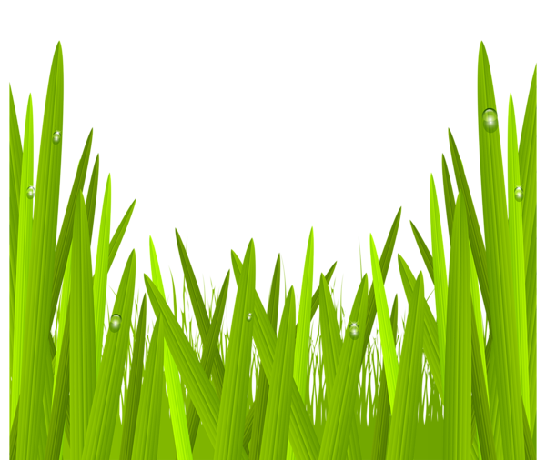 free clipart of green grass - photo #16
