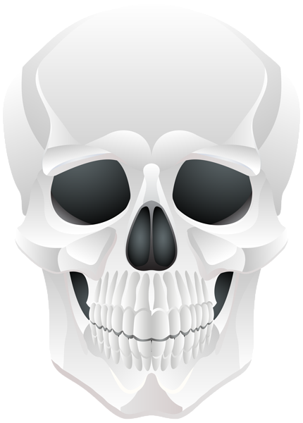 Halloween Skull PNG Clip Art | Gallery Yopriceville - High-Quality