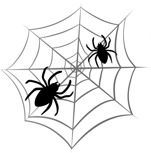 This png image - Halloween Spider Web PNG Clipart, is available for free download