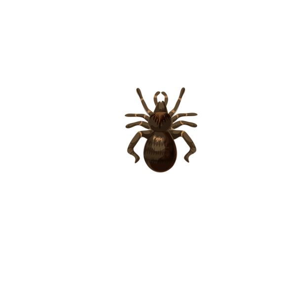 This png image - Halloween Spider Web Transparent Clip Art Image, is available for free download