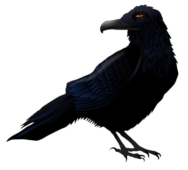 This png image - Haunted Raven PNG Vector Clipart, is available for free download
