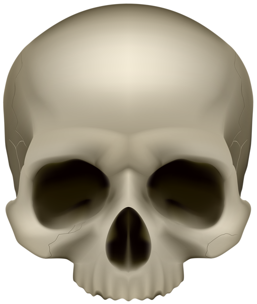 This png image - Skull PNG Transparent Clipart, is available for free download