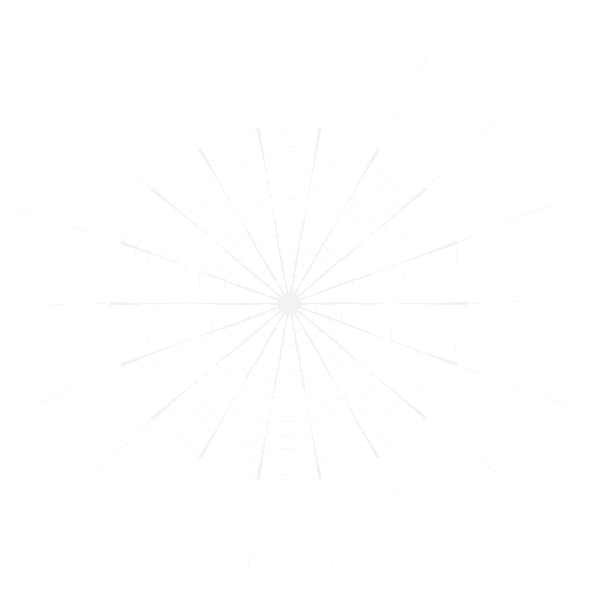 This png image - Spider Web White PNG Clip Art, is available for free download