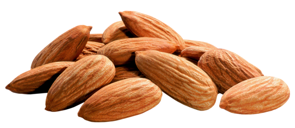 This png image - Almonds PNG Image, is available for free download