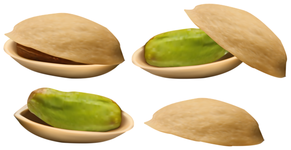 This png image - Pistachio PNG Clipart Image, is available for free download
