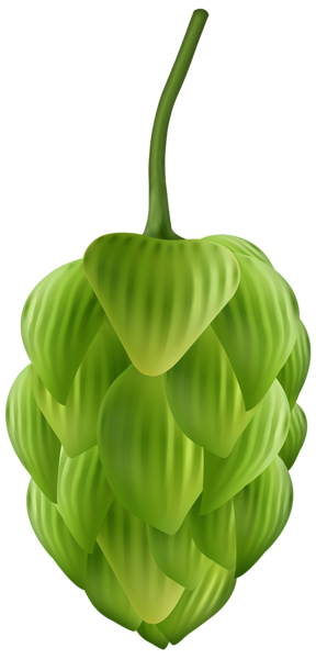 This png image - Green Hop Plant Transparent PNG Clipart, is available for free download
