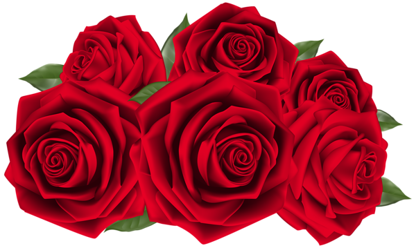 Beautiful Dark Red Roses PNG Clipart Image