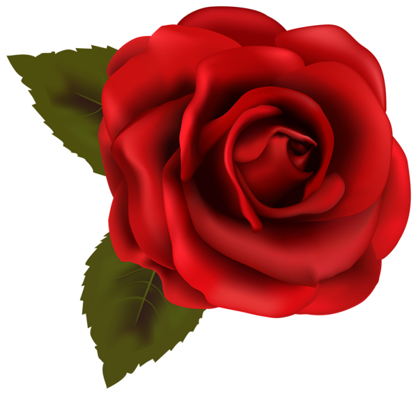rose clip art transparent background - photo #7